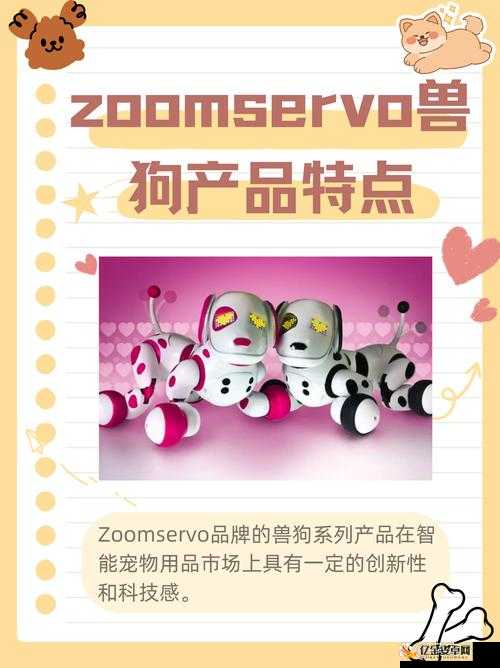 ZOOMSERVO 兽站长推：带来精彩独特的内容分享